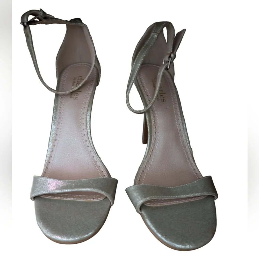 Elegant Silver Ankle Strap Sandals